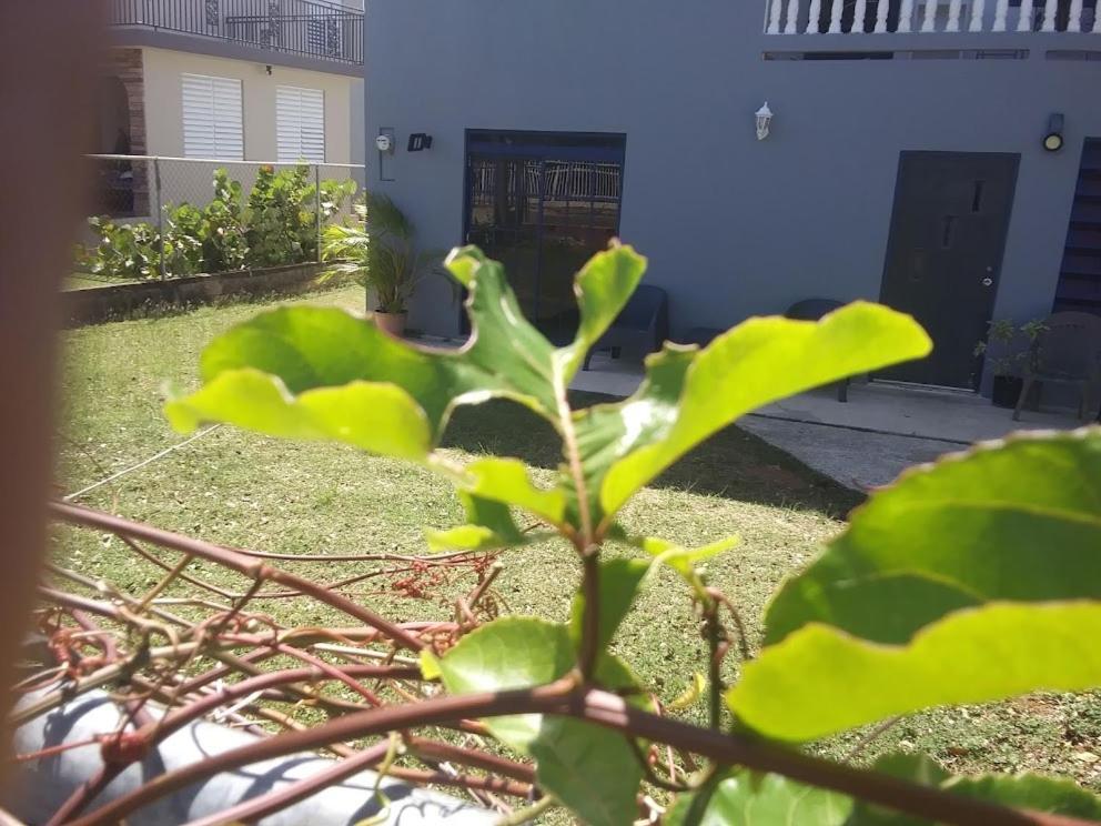 Labadie Apartment Aguadilla Bagian luar foto